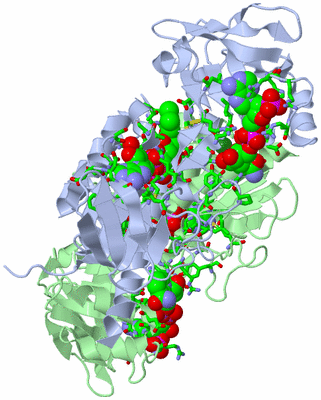 Image Asym./Biol. Unit - sites