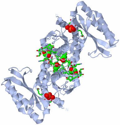 Image Biol. Unit 1 - sites