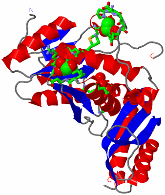 Image Asym. Unit - sites