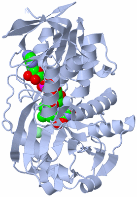 Image Biological Unit 1