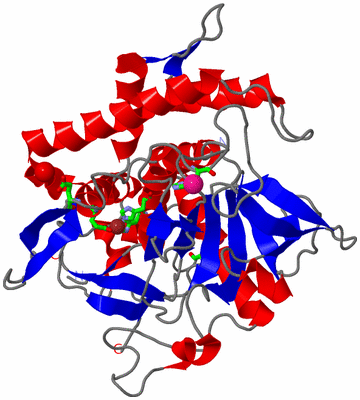 Image Asym./Biol. Unit - sites