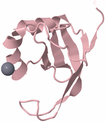 Image Biological Unit 3