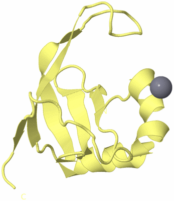 Image Biological Unit 4