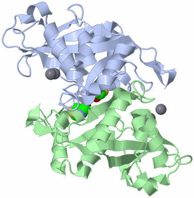 Image Asym./Biol. Unit