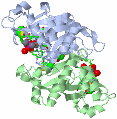 Image Asym./Biol. Unit - sites