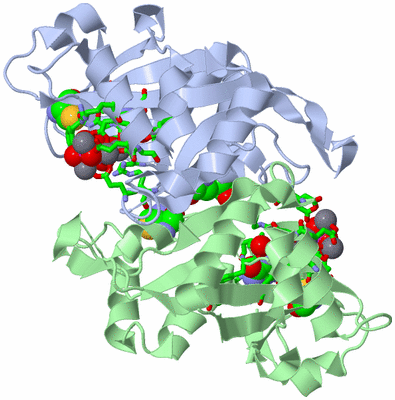 Image Asym./Biol. Unit - sites