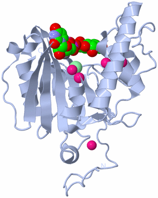 Image Biological Unit 1