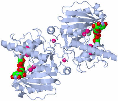 Image Biological Unit 2