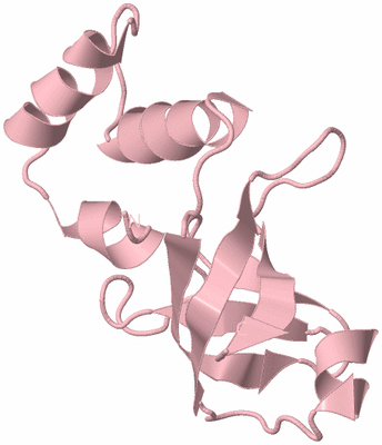 Image Biological Unit 3