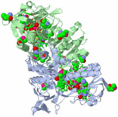 Image Asym./Biol. Unit - sites