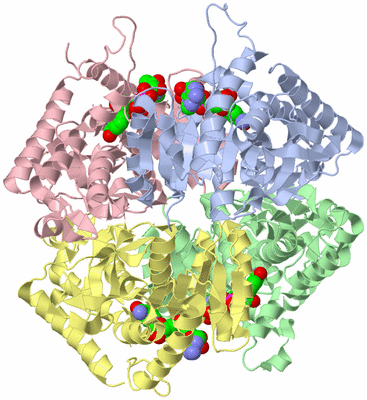 Image Asym./Biol. Unit