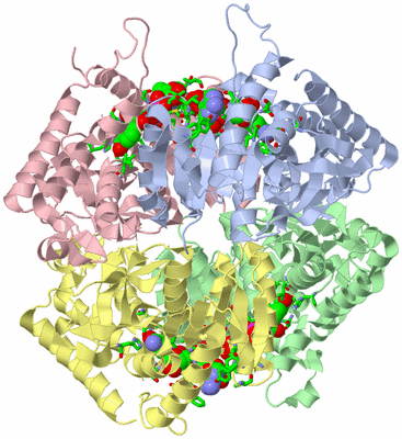 Image Asym./Biol. Unit - sites