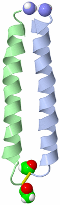 Image NMR Structure - model 1