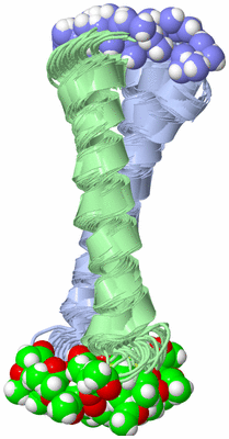 Image NMR Structure - all models