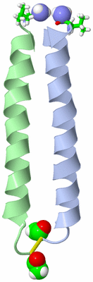 Image NMR Structure - model 1, sites