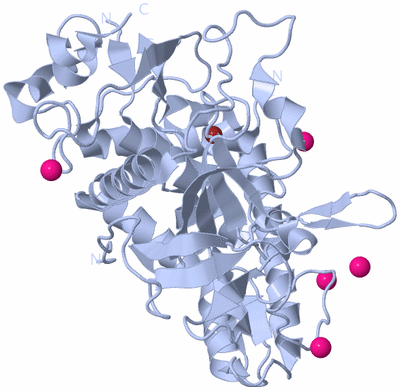 Image Biological Unit 1