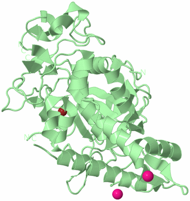 Image Biological Unit 2