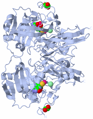Image Biological Unit 1