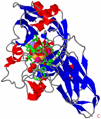 Image Asym. Unit - sites