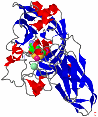 Image Asymmetric Unit