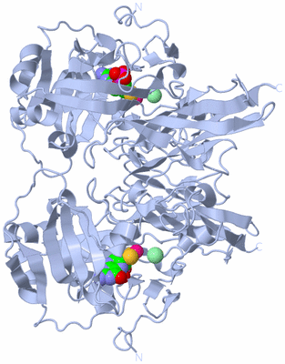 Image Biological Unit 1