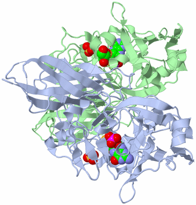 Image Asym./Biol. Unit