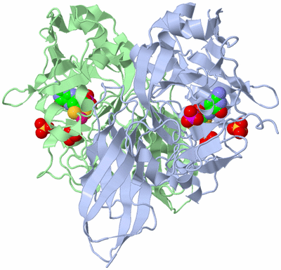 Image Asym./Biol. Unit