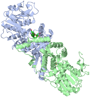 Image Asym./Biol. Unit - sites