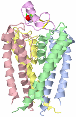 Image NMR Structure - model 1
