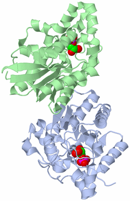 Image Asym./Biol. Unit