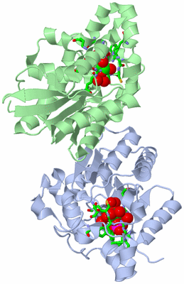 Image Asym./Biol. Unit - sites