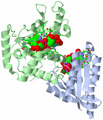 Image Asym./Biol. Unit - sites