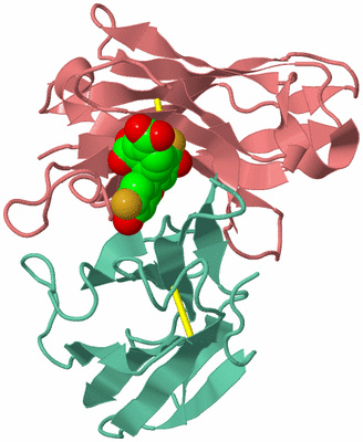 Image Biological Unit 1