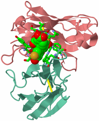 Image Biol. Unit 1 - sites