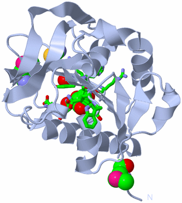 Image Biol. Unit 1 - sites