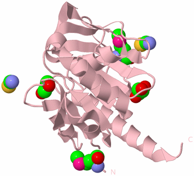 Image Biological Unit 3