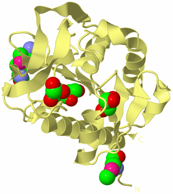 Image Biological Unit 4