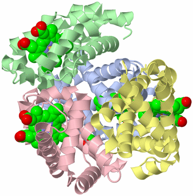 Image Asym./Biol. Unit