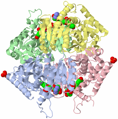 Image Asym./Biol. Unit