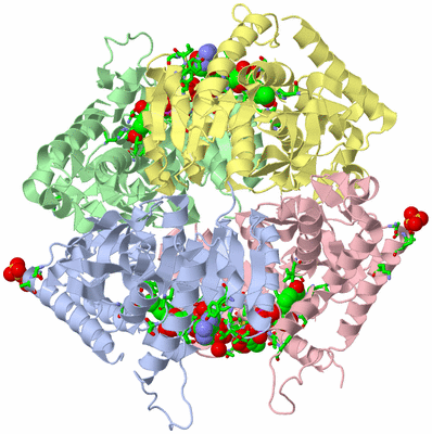 Image Asym./Biol. Unit - sites