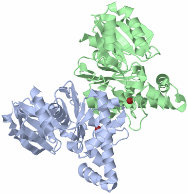 Image Asym./Biol. Unit