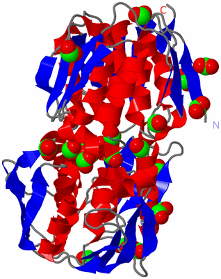 Image Asym./Biol. Unit