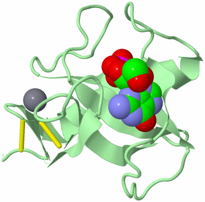 Image Biological Unit 2