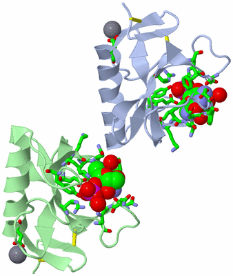 Image Asym. Unit - sites