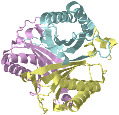 Image Biological Unit 2