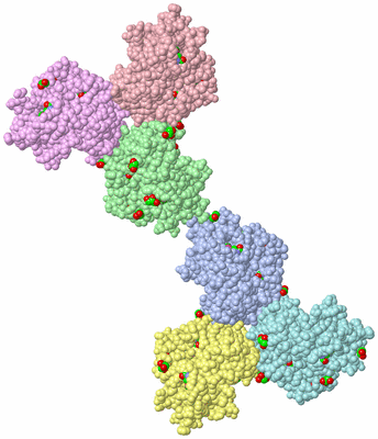 Image Asymmetric Unit