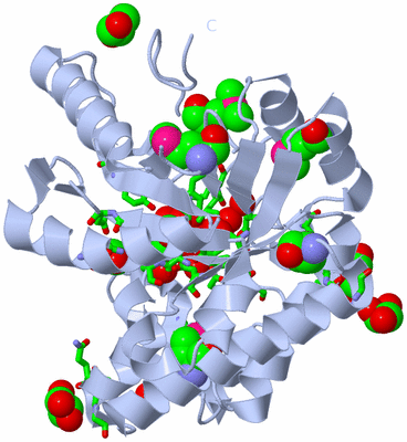 Image Biol. Unit 1 - sites