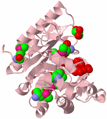 Image Biological Unit 3