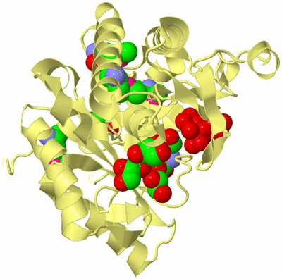 Image Biological Unit 4