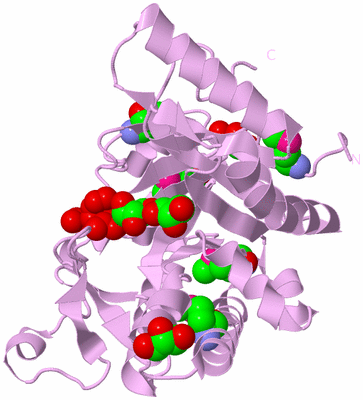 Image Biological Unit 5